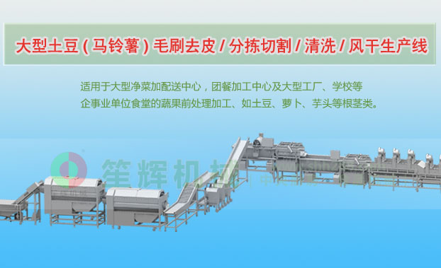 石家庄连续式土豆去皮清洗切割风干生产线